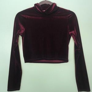 Tobi Maroon Velvet Cropped Turtleneck